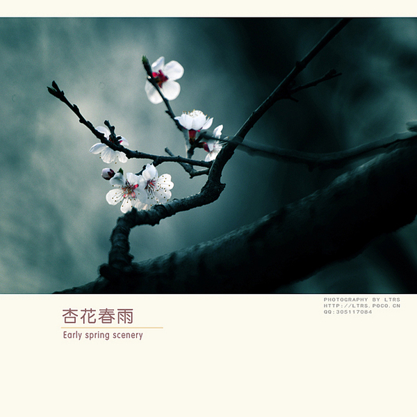赴约 (伴奏)