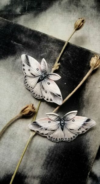 Moth