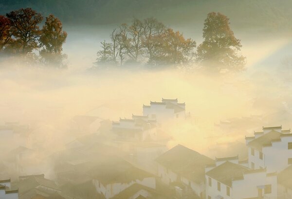 烟青步晚
