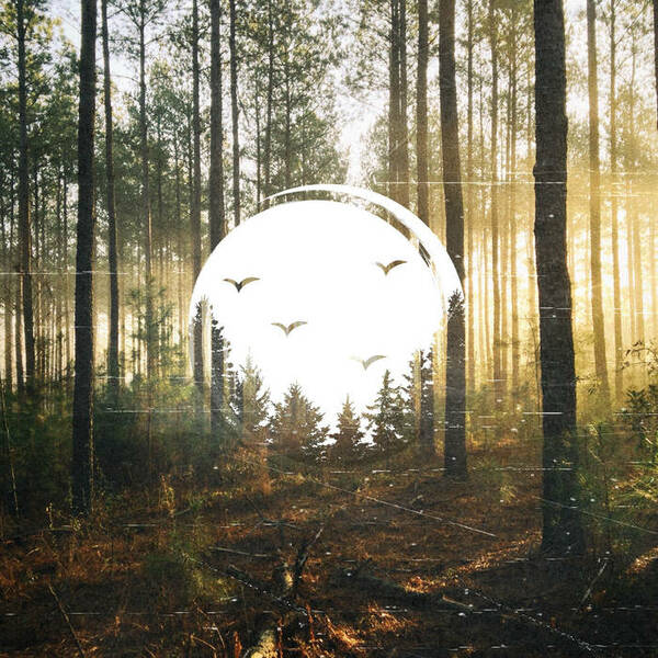  Let There Be Light