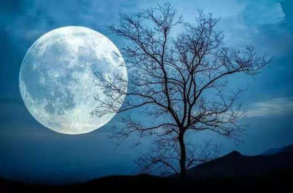 Every Night I Missed You