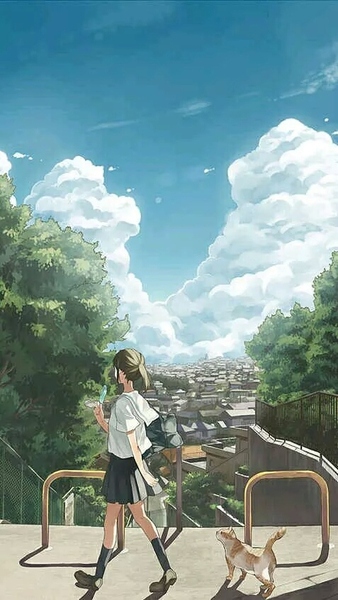 去年夏天 