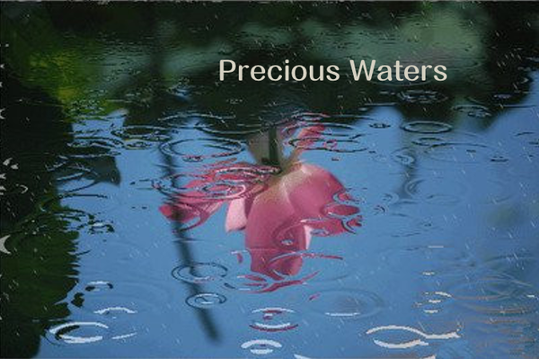 Precious Waters