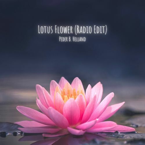 Lotus Flower  (Radio Edit)
