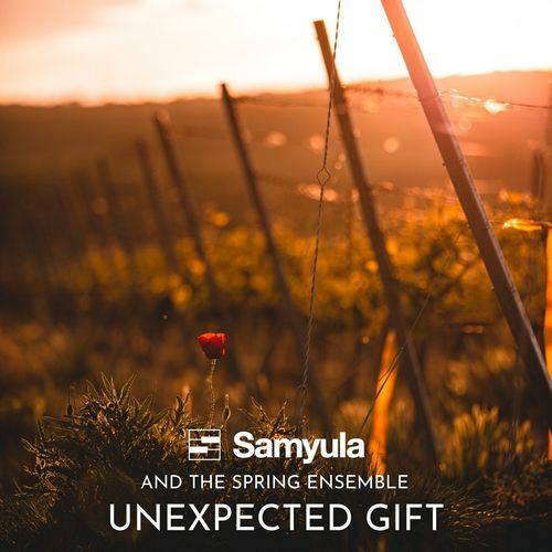 Unexpected Gift