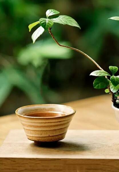 清风明月