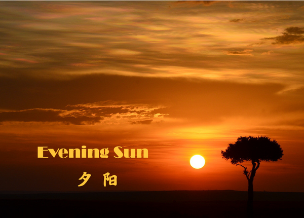 Evening Sun