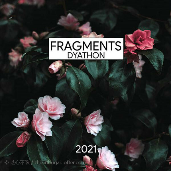 Fragments 破碎片段 (Singles) 2021  