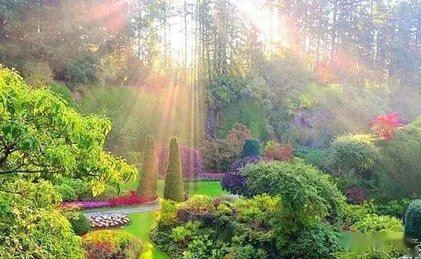 Morning Garden