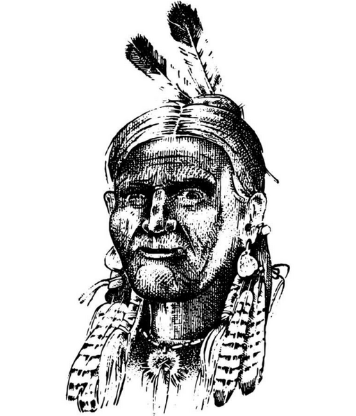 A Tribe Called Kotori (Original Mix)