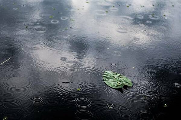 秋雨挽冬风  