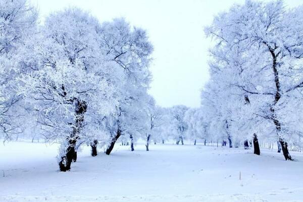 Early Morning Snowfall