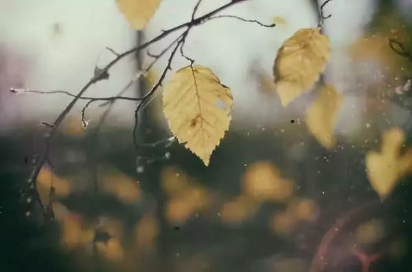 听雨（静心钢琴曲）