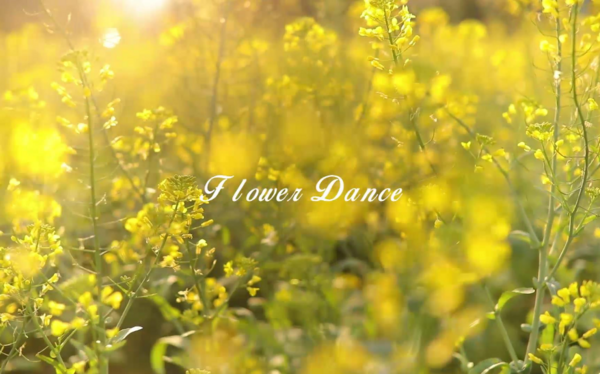Flower Dance（长笛&小提琴）