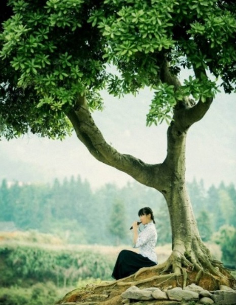 Greensleeves (绿袖子)