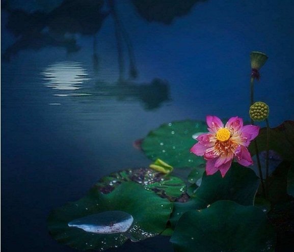 镜花水月