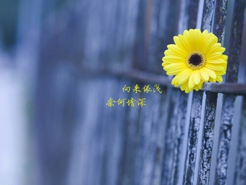 恨海