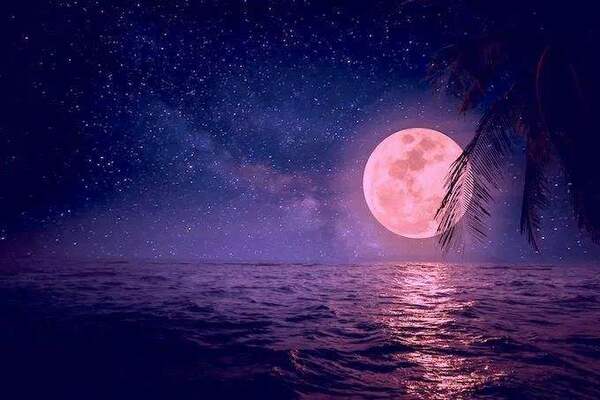 Full Moon