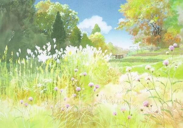 Summer