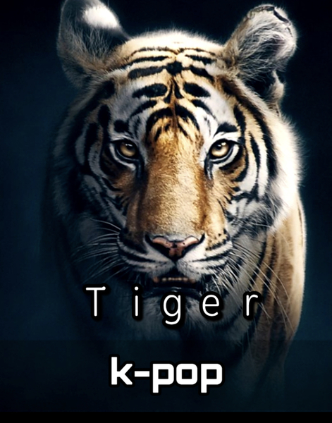 tiger 稳笨实