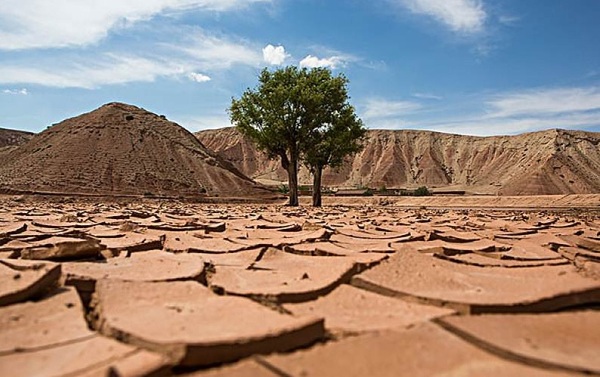 The Innocent Land