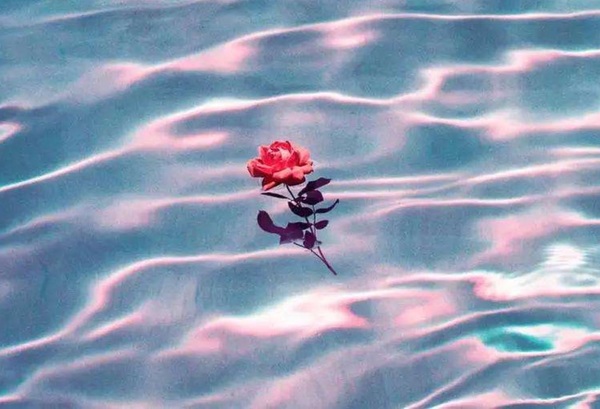 Lost In Love