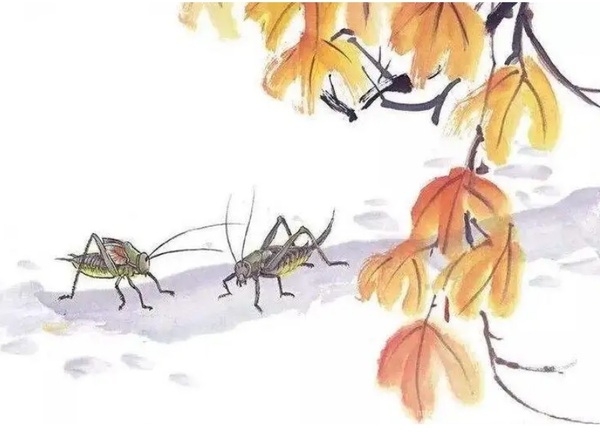 A Tiny Cricket in the Yard(院子里的一只小蟋蟀)