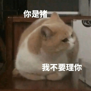 思念