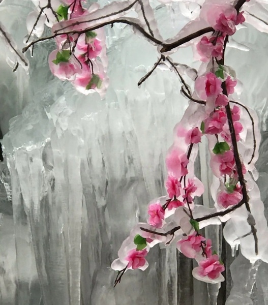 Lament from a Frozen Flower（冻花的悲歌 ）