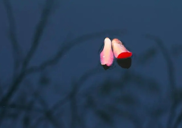 殇 