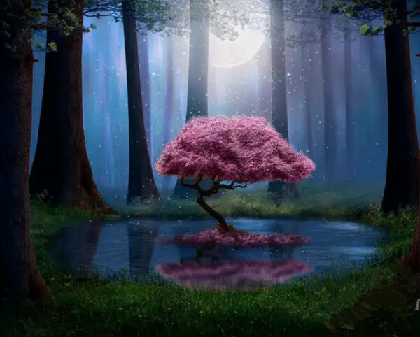 Sweet Serenade（甜蜜的小夜曲）