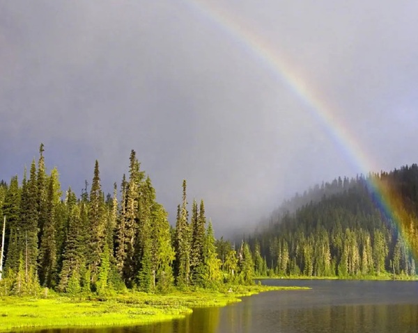 Somewhere Over the Rainbow(彩虹之上)