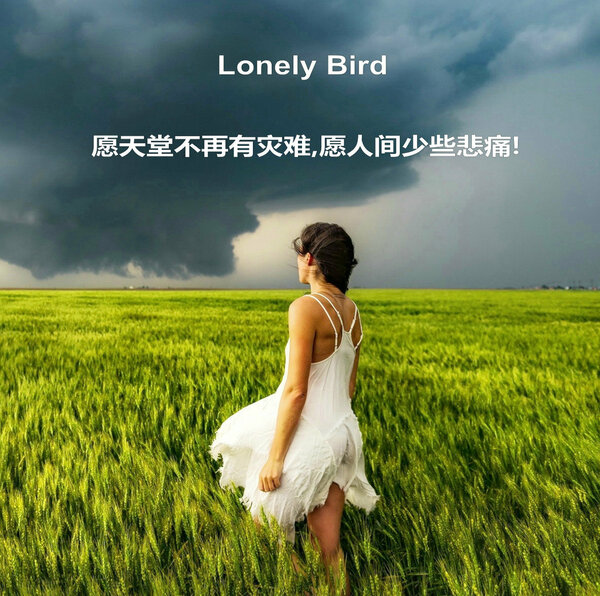 Lonely Bird 孤独的小鸟 (Singles) 2023  
