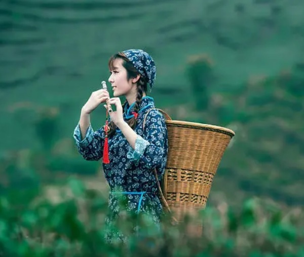 Tea Song Of The Xiang River(湘江茶歌)