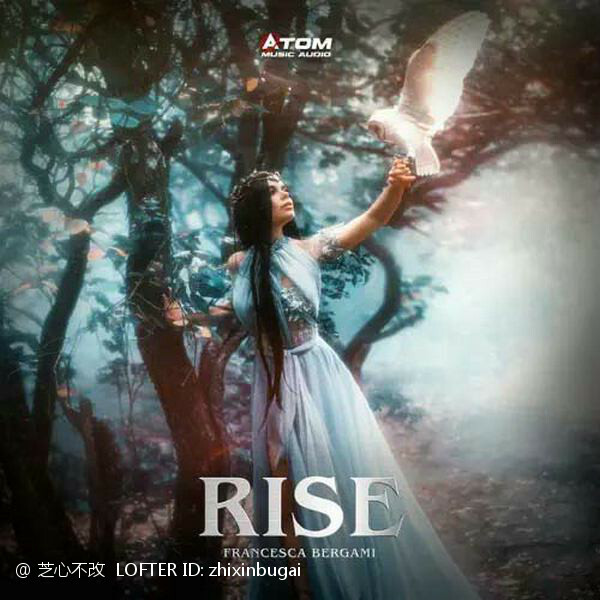 Rise (Instrumental) 