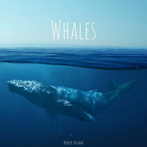 Whales 