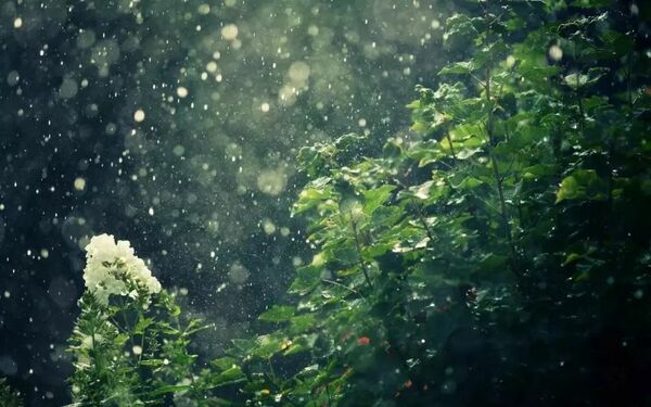 下雨声（白噪音ASMR睡眠）