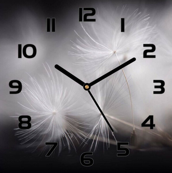 Dandelion Clocks