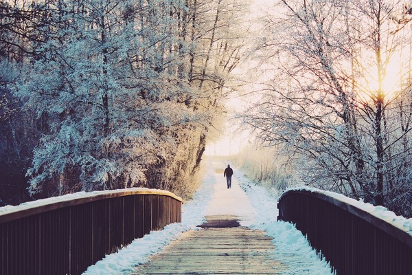 Winter Walking Reverie