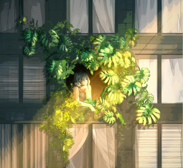风信子