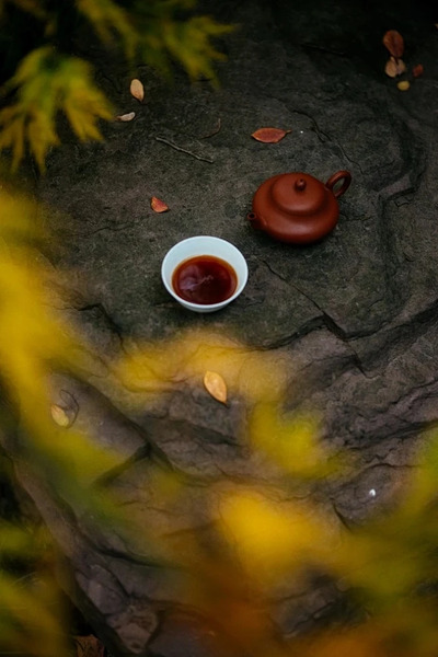 疗愈静心 温柔治愈