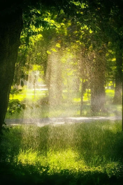 Everlasting Peace (with rain)