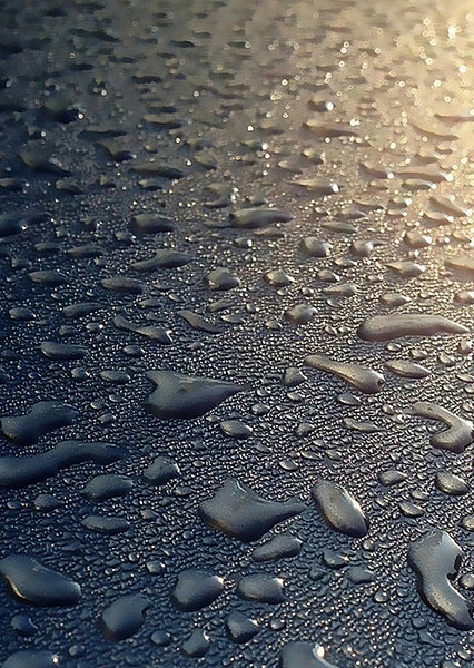 甘雨
