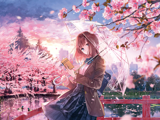 天街桜  