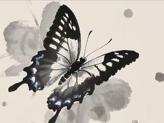 墨与蝶