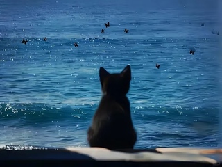海的尽头