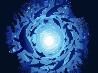 深海回旋 