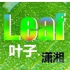 Leaf叶子