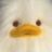 小duck